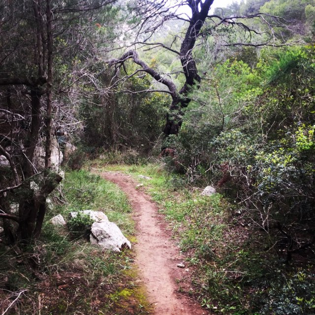 Ermioni_Katafyki_Katafiki_6479