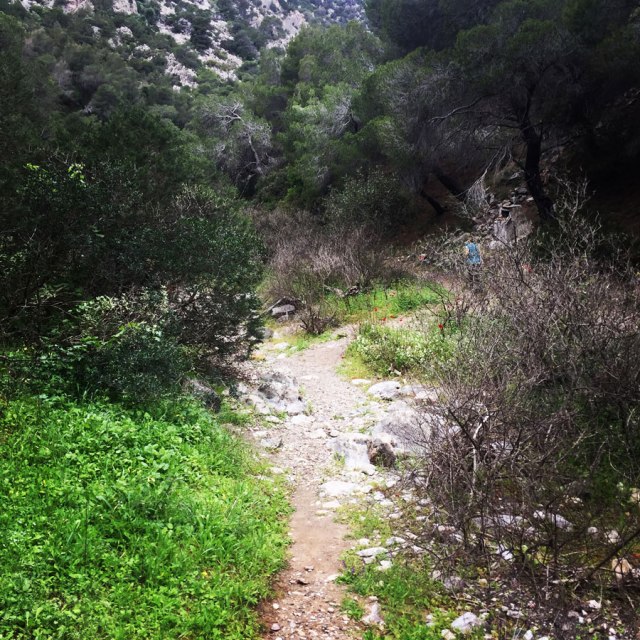 Ermioni_Katafyki_Katafiki_6480