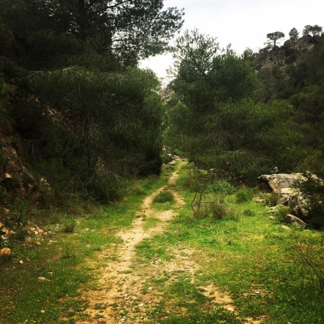 Ermioni_Katafyki_Katafiki_6483