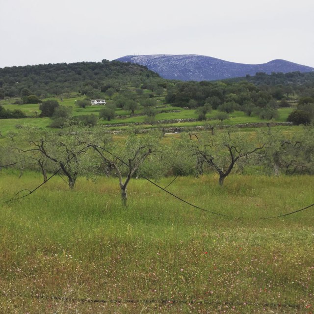 Ermioni_Katafyki_Katafiki_6485