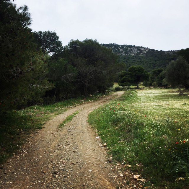 Ermioni_Katafyki_Katafiki_6494