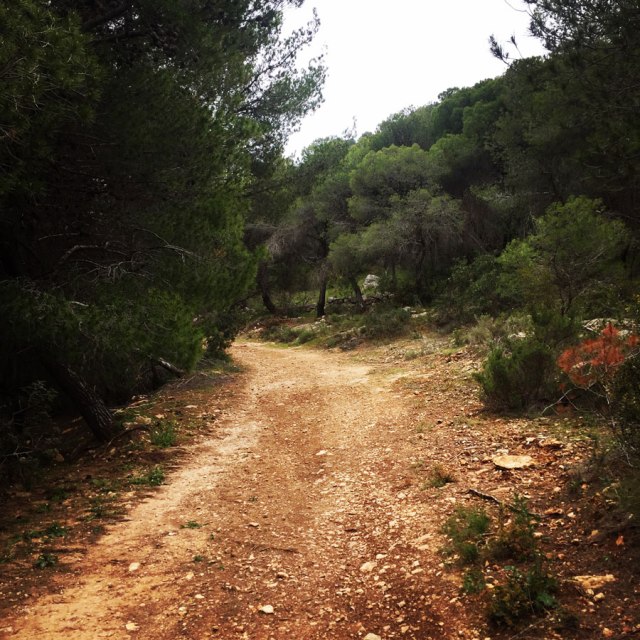 Ermioni_Katafyki_Katafiki_6496