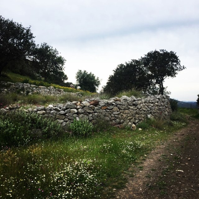 Ermioni_Katafyki_Katafiki_6498