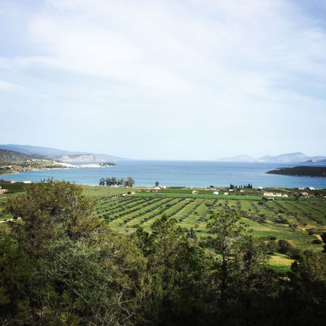 Hiking-Ermioni-Argolis_5608