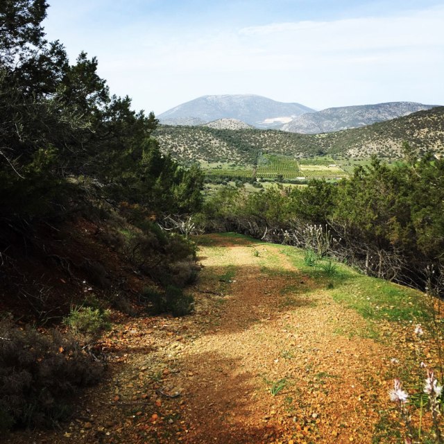 Hiking-Ermioni-Argolis_5609