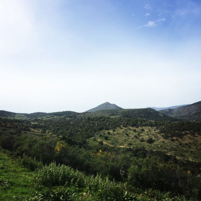 Hiking-Ermioni-Argolis_5613