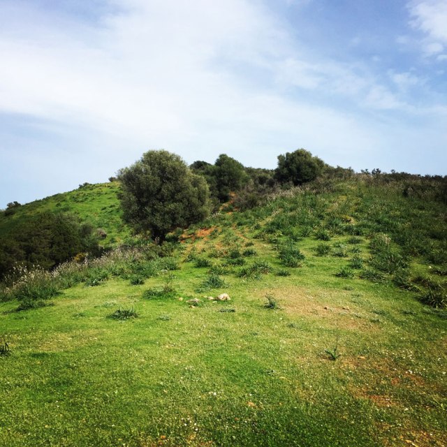 Hiking-Ermioni-Argolis_5614