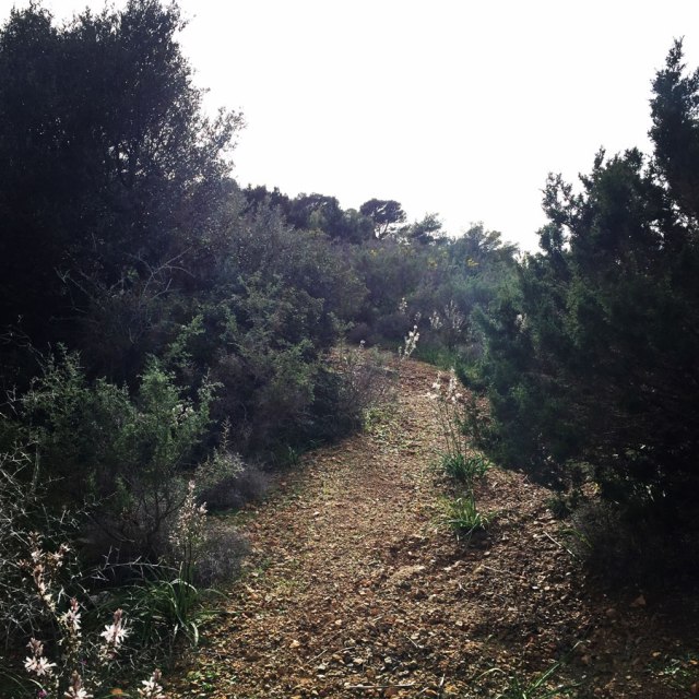 Hiking-Ermioni-Argolis_5615