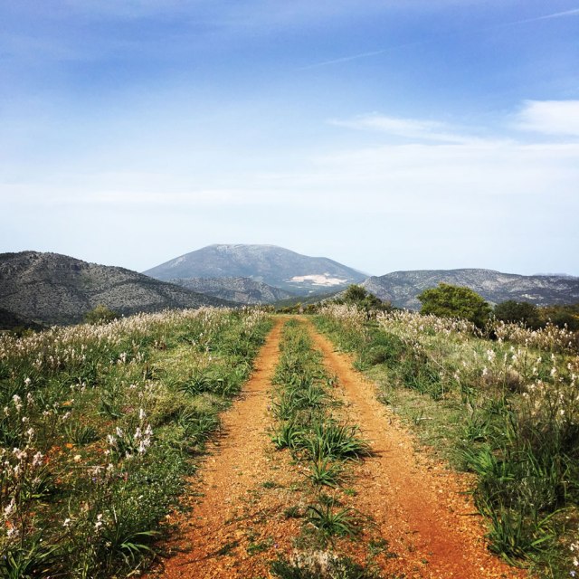 Hiking-Ermioni-Argolis_5618