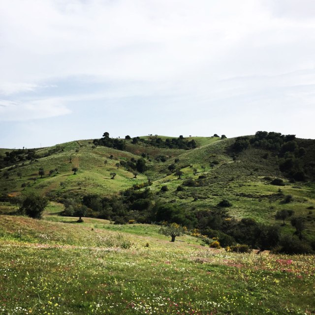 Hiking-Ermioni-Argolis_5620