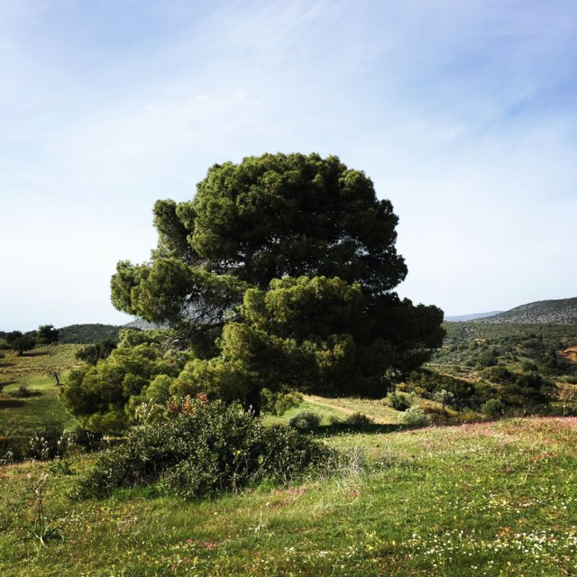 Hiking-Ermioni-Argolis_5621