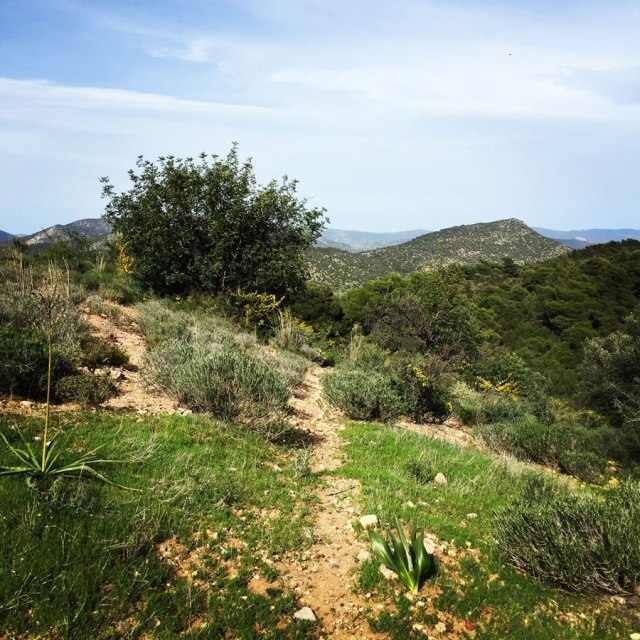 Hiking-Ermioni-Argolis_5622