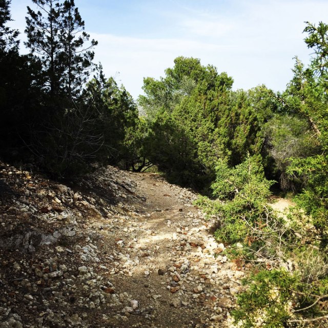 Hiking-Ermioni-Argolis_5623