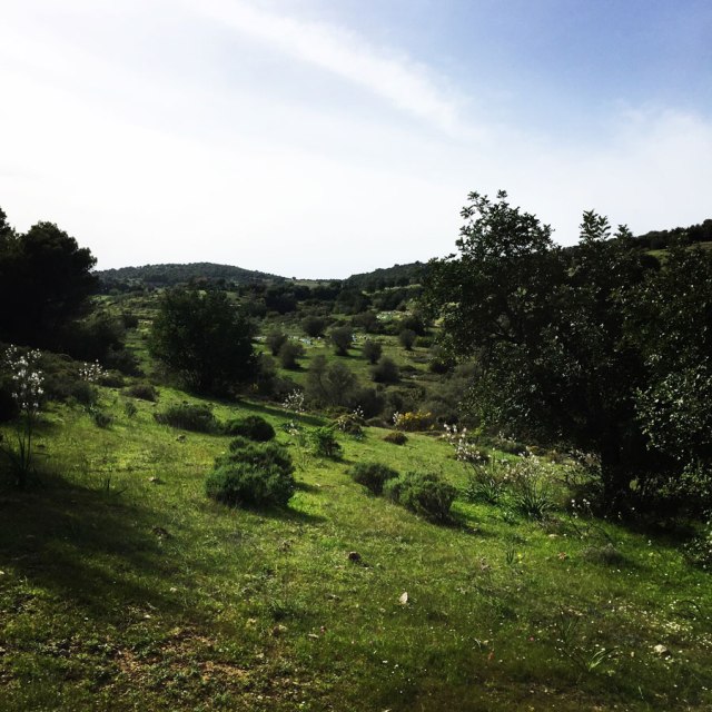 Hiking-Ermioni-Argolis_5624