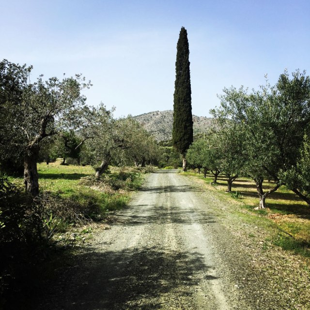 Hiking-Ermioni-Argolis_5704