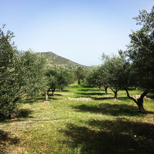 Hiking-Ermioni-Argolis_5705