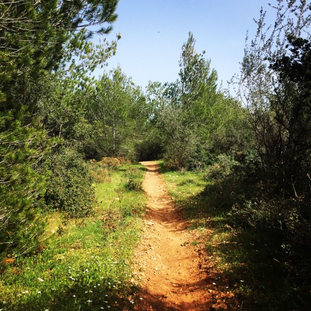 Hiking-Ermioni-Argolis_5710