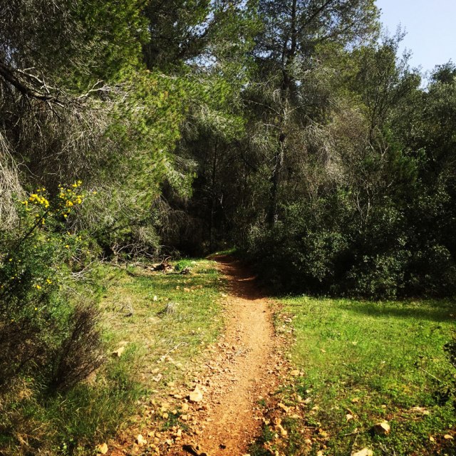 Hiking-Ermioni-Argolis_5711