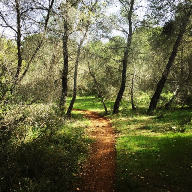 Hiking-Ermioni-Argolis_5712