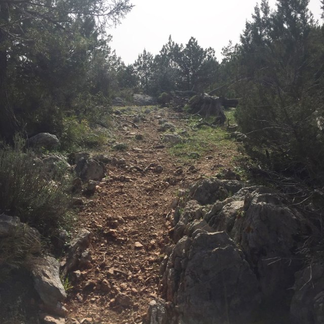 Hiking-Ermioni-Argolis_5715