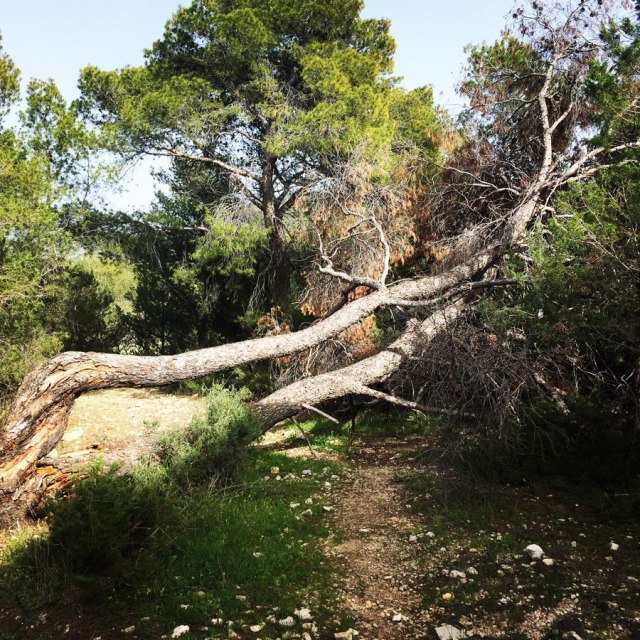 Hiking-Ermioni-Argolis_5717