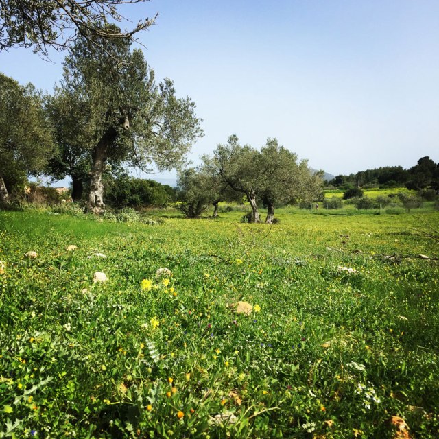 Hiking-Ermioni-Argolis_5722