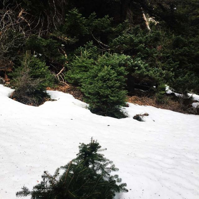 Olympus_Mountaineering_Nisi-Peak_Chelmos_Aroania_5103