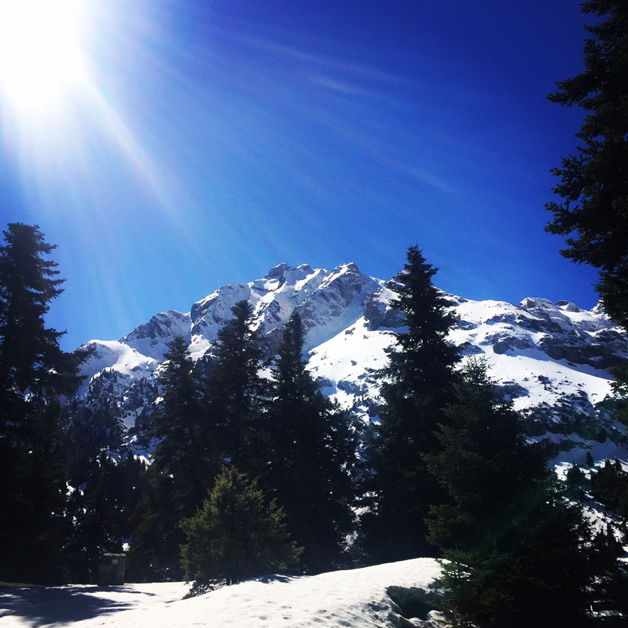 Vardousia_Lion_Gully_Olympus_Mountaineering_5367