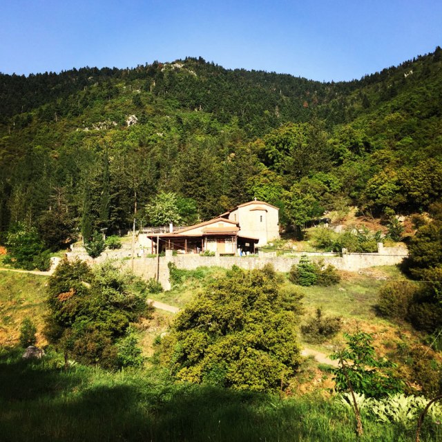 Mount_Oligyrtos_Chionotripa_Grimini_7828