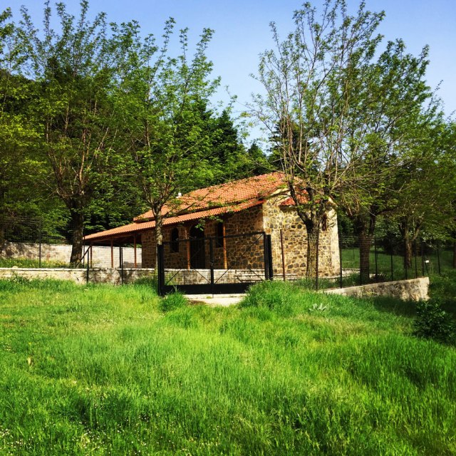 Mount_Oligyrtos_Chionotripa_Grimini_7841