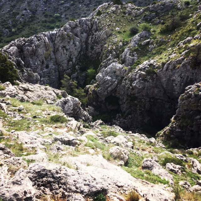 Mount_Oligyrtos_Chionotripa_Grimini_7850