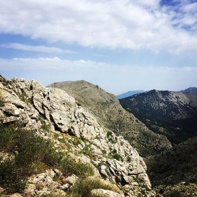 Mount_Oligyrtos_Chionotripa_Grimini_7851