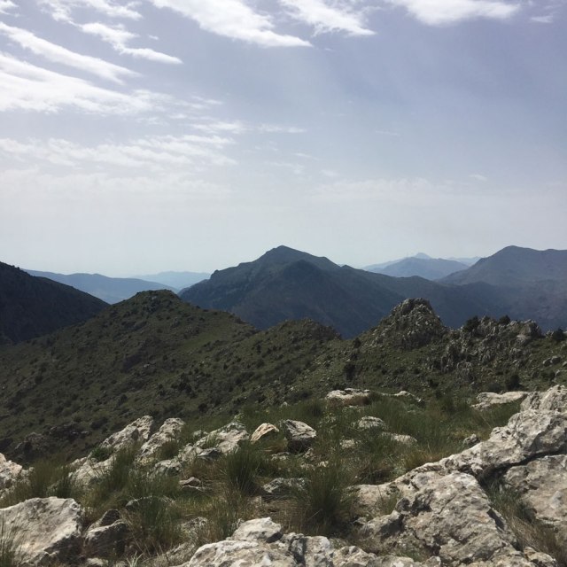 Mount_Oligyrtos_Chionotripa_Grimini_7855