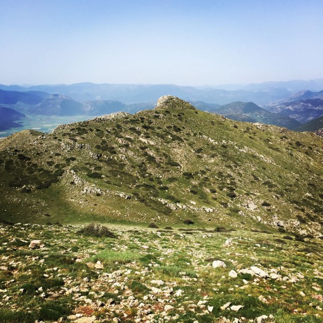 Mount_Oligyrtos_Chionotripa_Grimini_7860