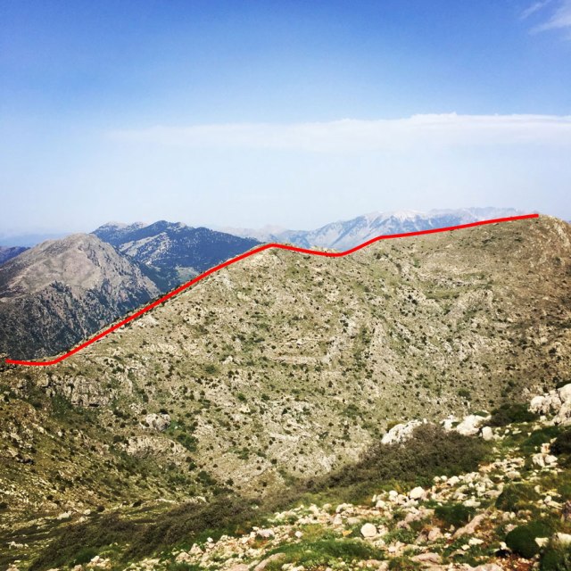 Mount_Oligyrtos_Chionotripa_Grimini_7861_02