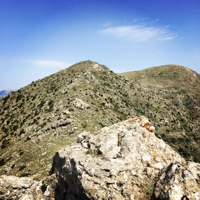 Mount_Oligyrtos_Chionotripa_Grimini_7862