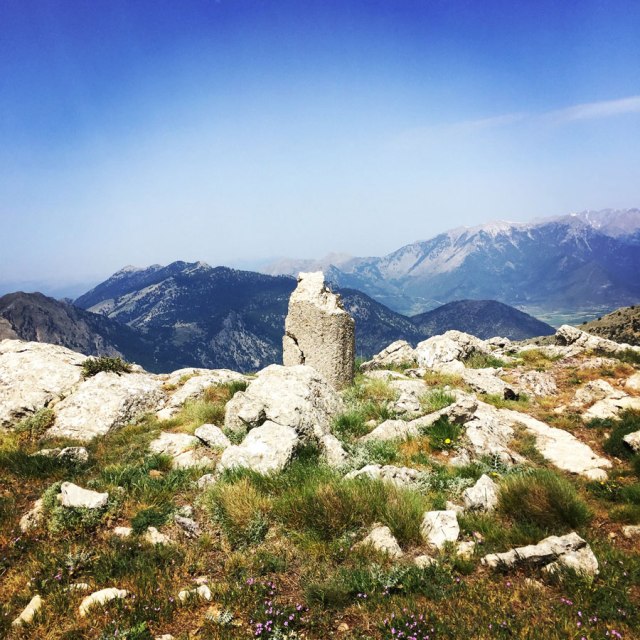 Mount_Oligyrtos_Chionotripa_Grimini_7866