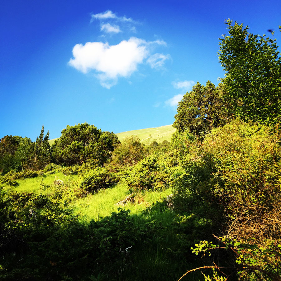 Lakmos_Peristeri_Verliga_9208