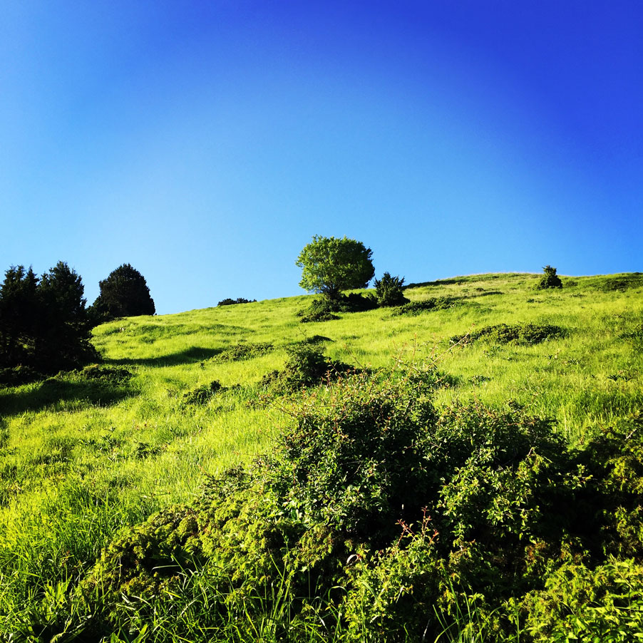 Lakmos_Peristeri_Verliga_9212