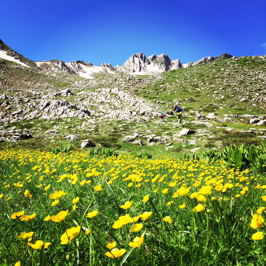 Lakmos_Peristeri_Verliga_9223