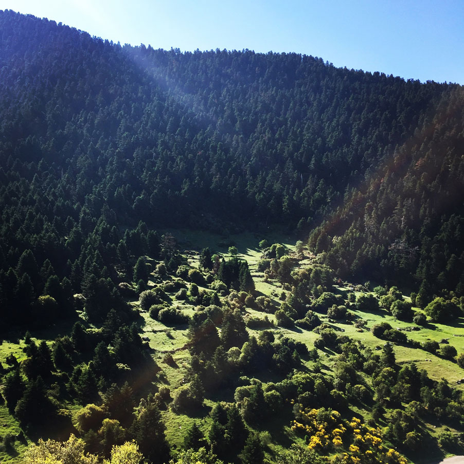 Lambia_Ori_Tsipiana_Analipsi_Dirvi_8155