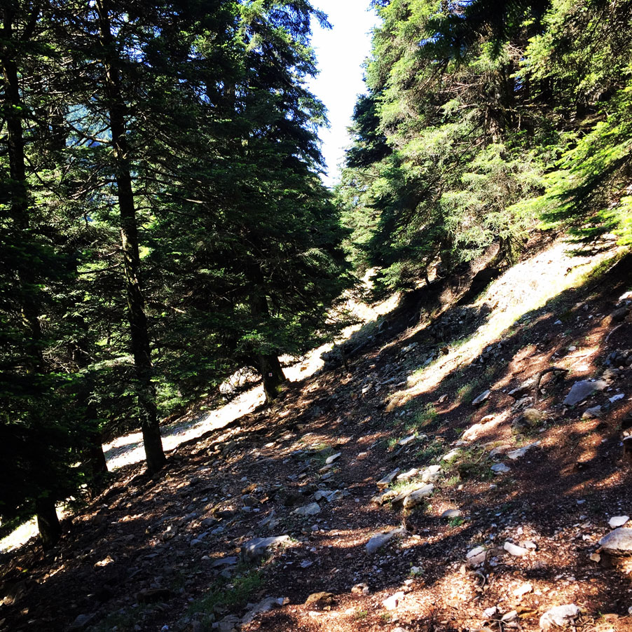 Lambia_Ori_Tsipiana_Analipsi_Dirvi_8166