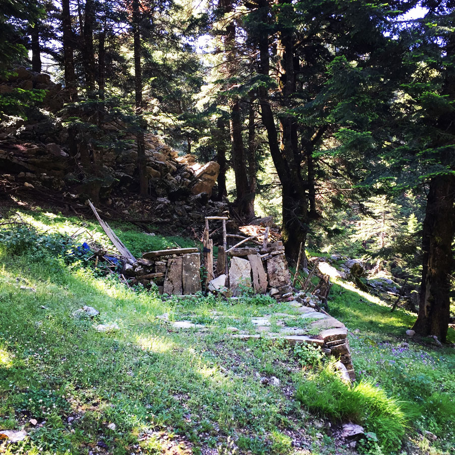 Lambia_Ori_Tsipiana_Analipsi_Dirvi_8169