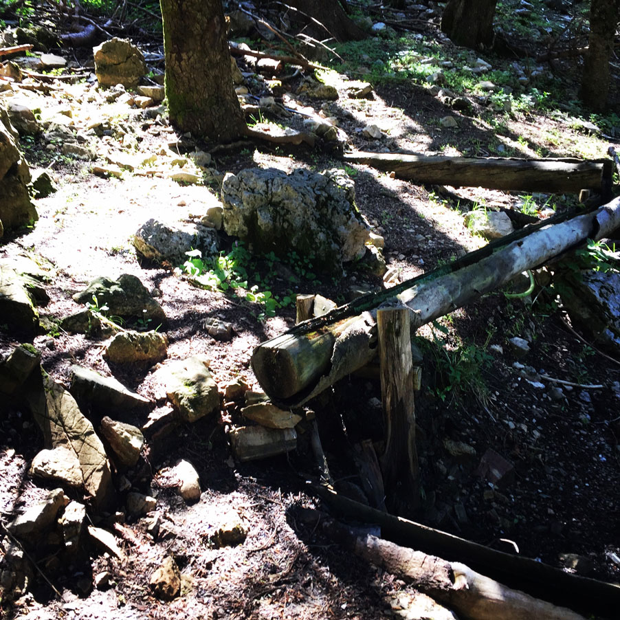 Lambia_Ori_Tsipiana_Analipsi_Dirvi_8170