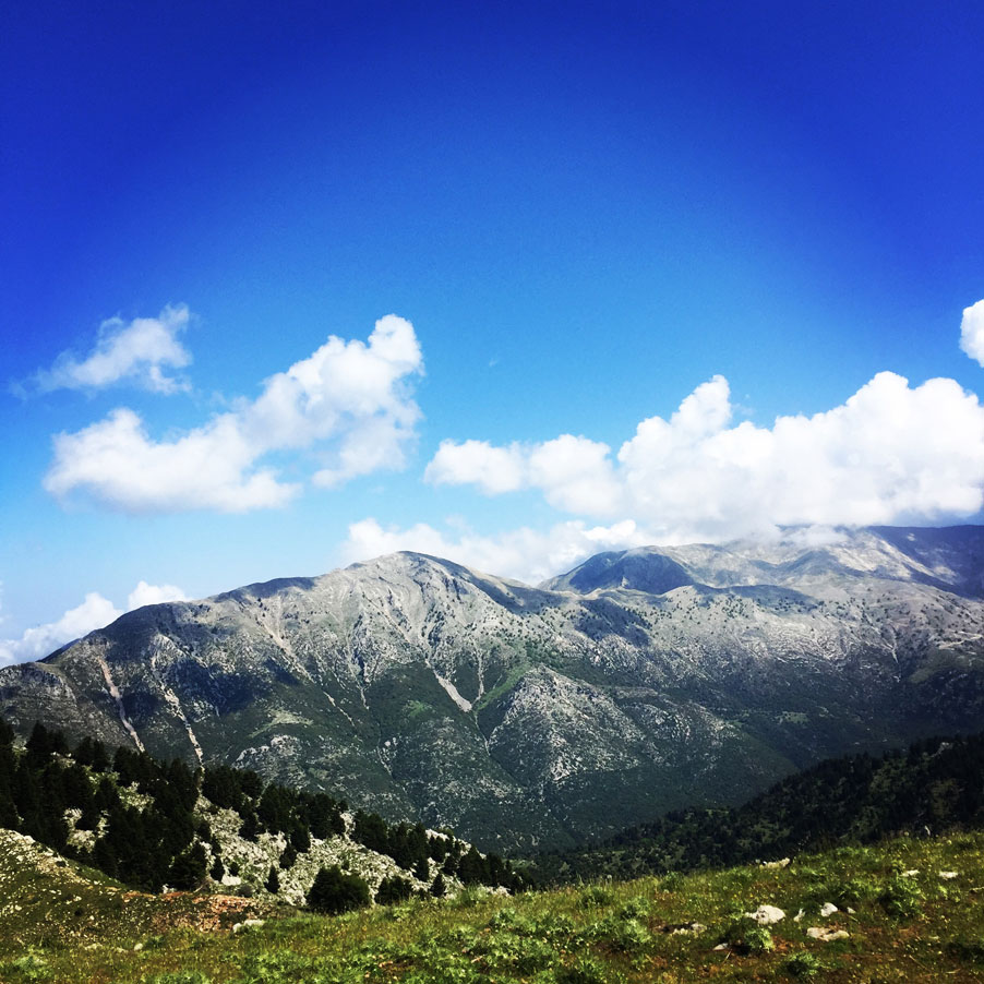 Lambia_Ori_Tsipiana_Analipsi_Dirvi_8175