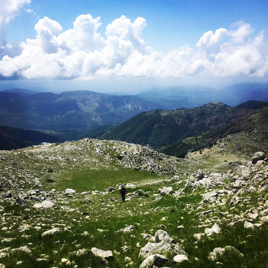 Lambia_Ori_Tsipiana_Analipsi_Dirvi_8188