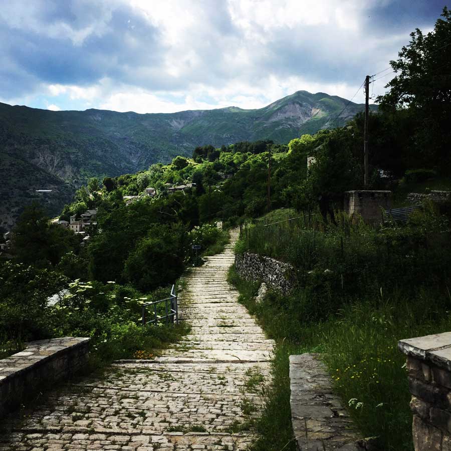 Kallarites_Syrakko_9312