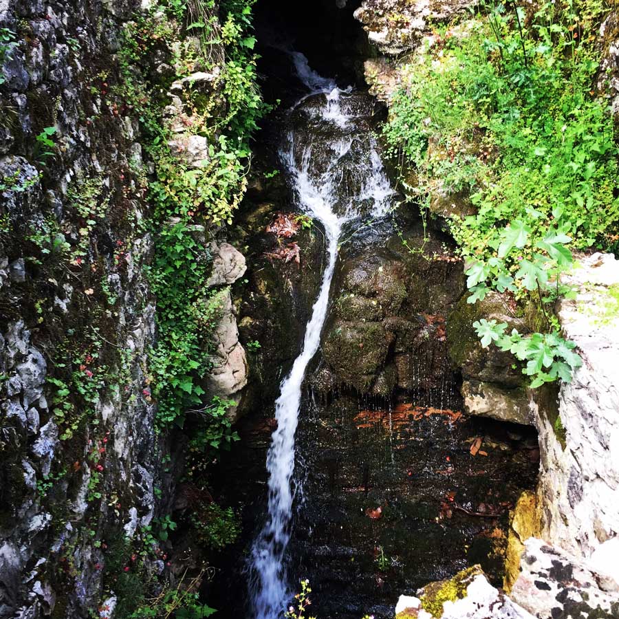 Kallarites_Syrakko_9313