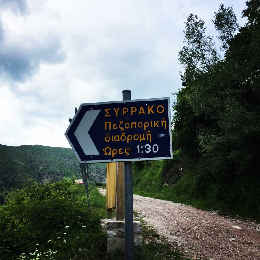 Kallarites_Syrakko_9314