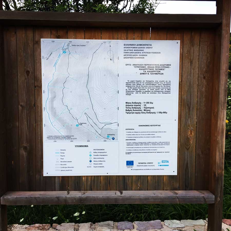 Kallarites_Syrakko_9318